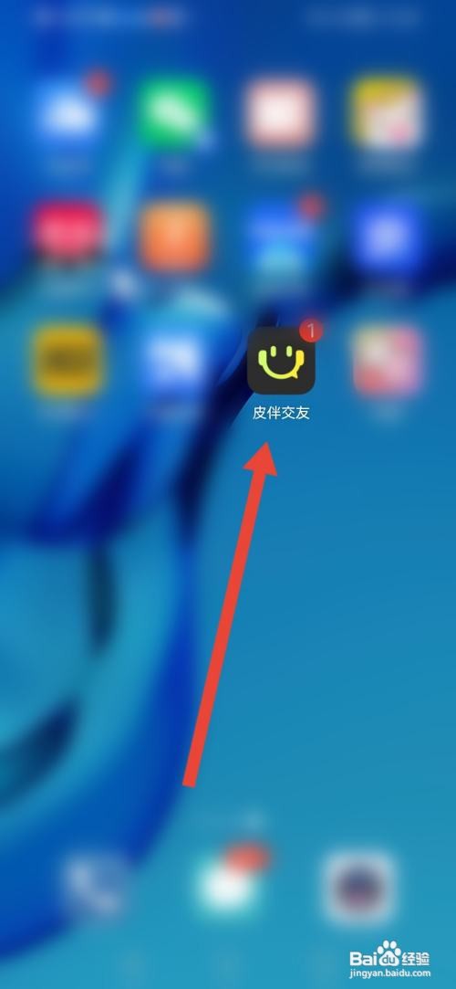 皮伴交友怎么实名认证