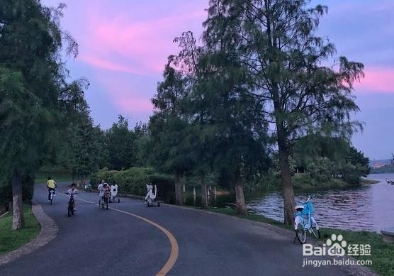 “辣味之乡”东莞有哪些好玩的地方?