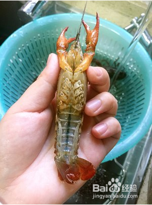 怎么做好吃的潜江油焖大虾