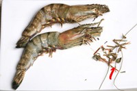 油焖大虾美味做法