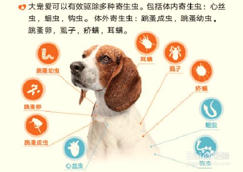百度经验