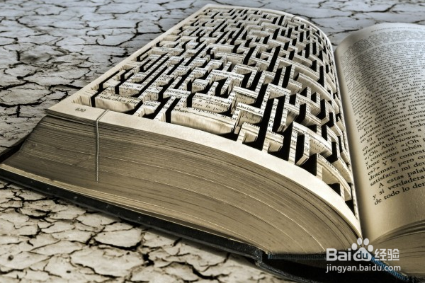 快速阅读训练指导