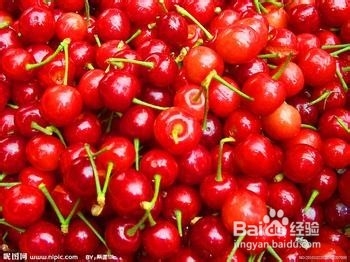 每个月吃什么水果最好