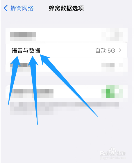 苹果手机怎么启用独立5g