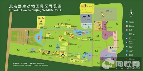 北京野生动物园攻略