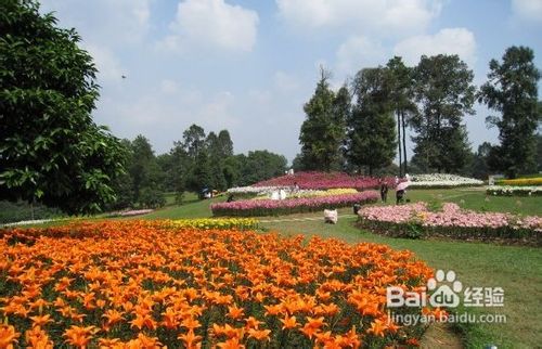 雅安旅游攻略