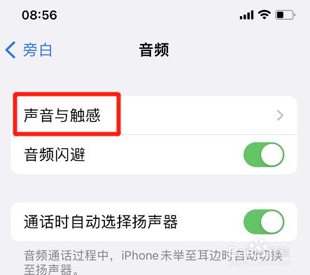 iphone如何开启匹配语音音量功能