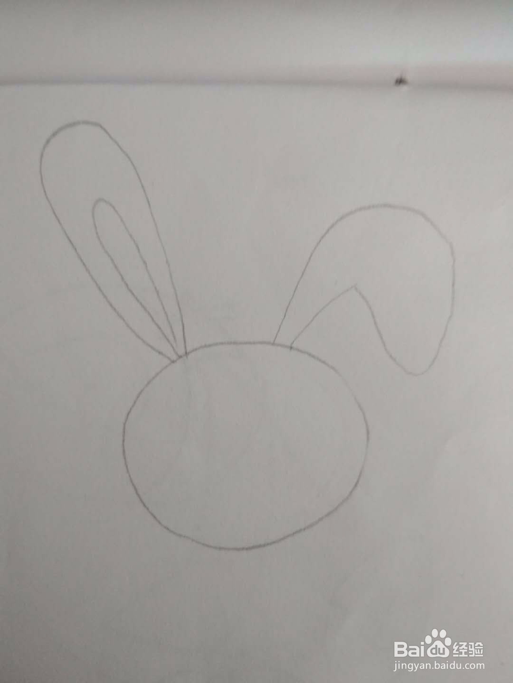 多妈简笔画动物一只可爱的小白兔