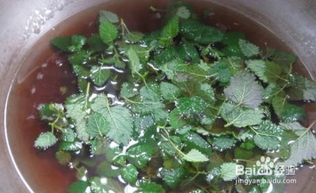 薄荷茶的攻略