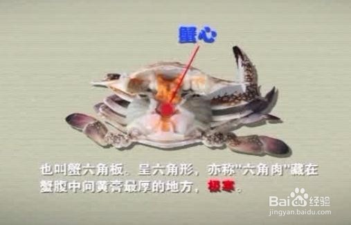 吃蟹知多少？蟹的哪些地方不能吃你知道吗？