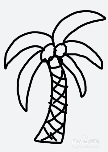 简笔画画：[4]椰子树