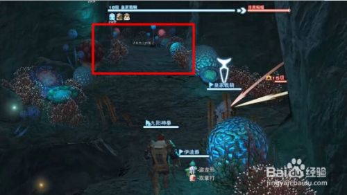 最终幻想14怎么进副本 百度经验