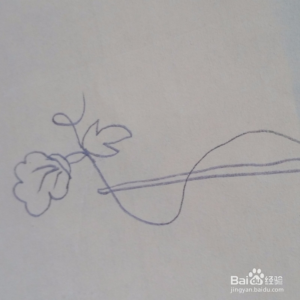 儿童简笔画牵牛花