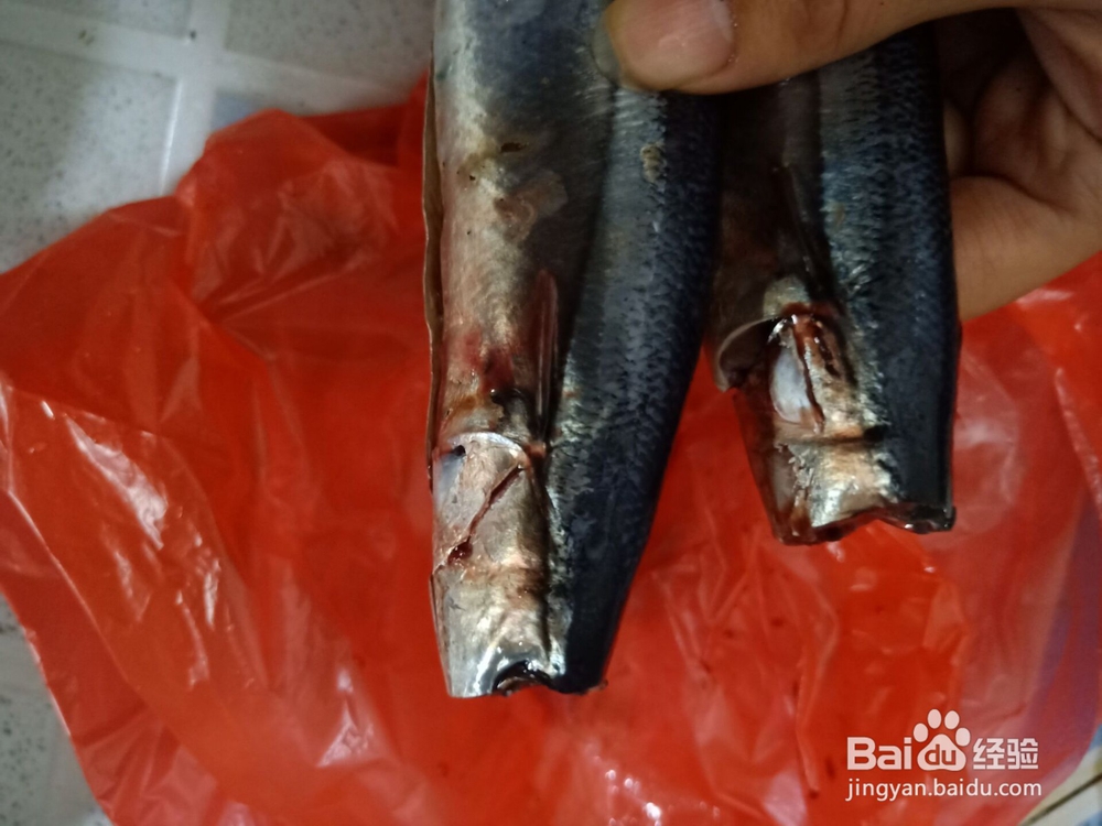 油煎香辣秋刀鱼怎么做