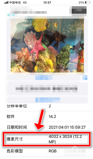 苹果手机怎么查看照片大小