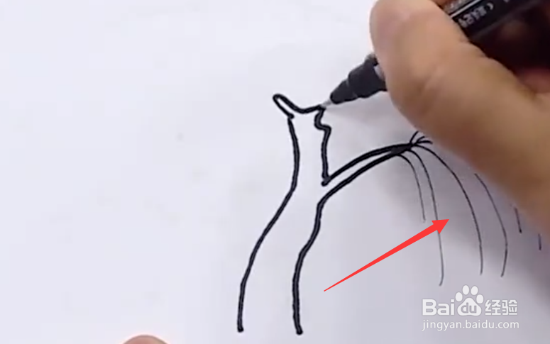 柳树的样子怎么画