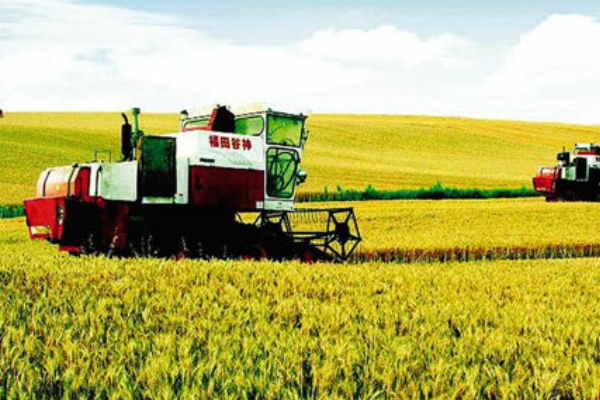 什么是农村政策法规