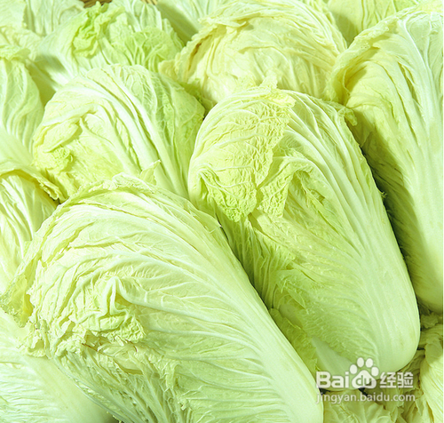 白菜的药用价值和白菜治病14个小偏方