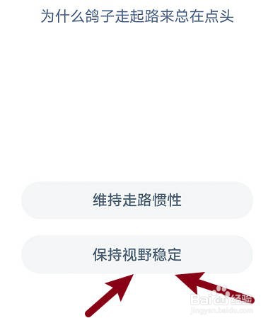 为什么鸽子走起路来总在点头？蚂蚁庄园