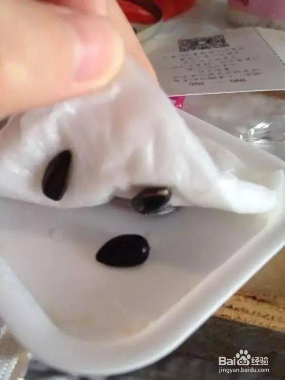 向日葵怎么种植小盆栽