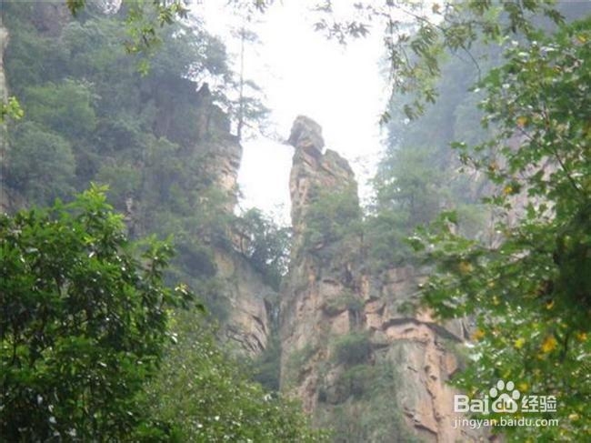 张家界自助游网站