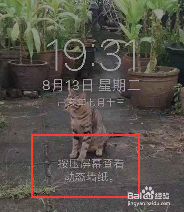 苹果版抖音如何设置动态壁纸
