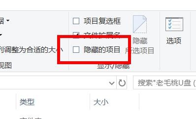 u盘文件不显示却占空间怎么办