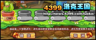 《武斗酷猫》怎么超进化武斗灵猫