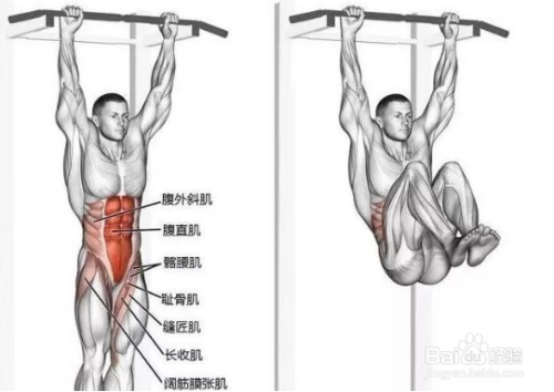 悬垂举腿正确做法 百度经验