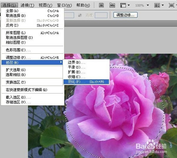 ps淘宝美工教程：[4]局部高光调制唯美图片