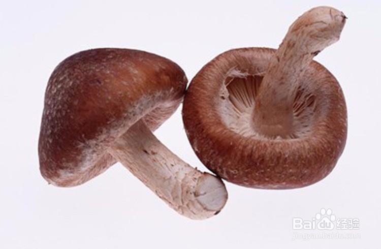 冬季养生保健小常识