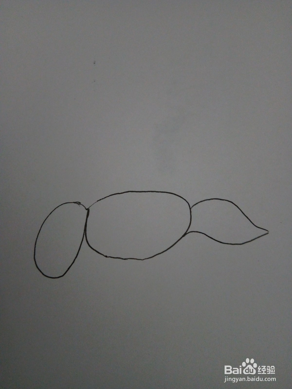 用拼音简笔画小蚂蚁的画法