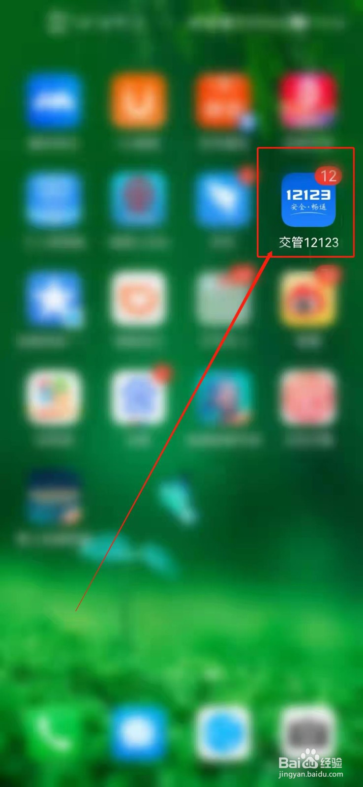 交管12123备案驾驶证无法查询驾驶证信息