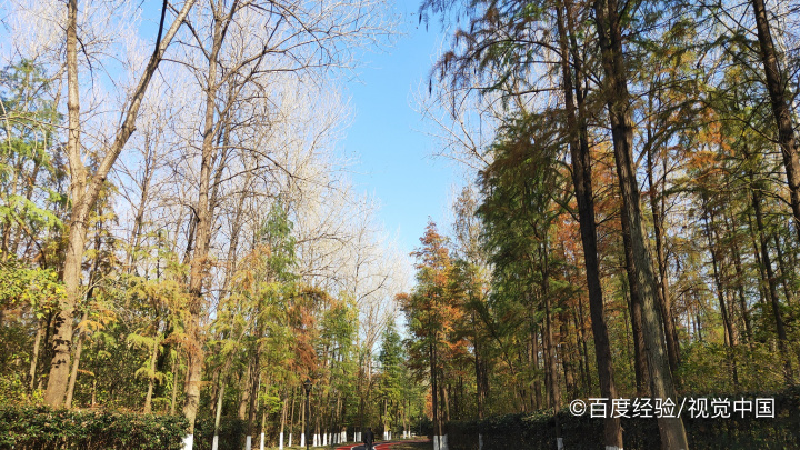 湖北荆州方特游乐园攻略