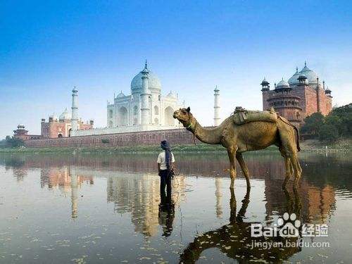 印度旅游必去的十个景点