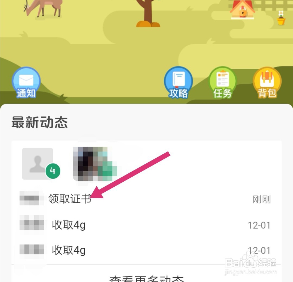 支付宝蚂蚁森林环保证书怎么挂在树上面