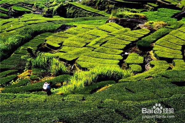 小镇旅游攻略—中国最美的20个小城(上篇)