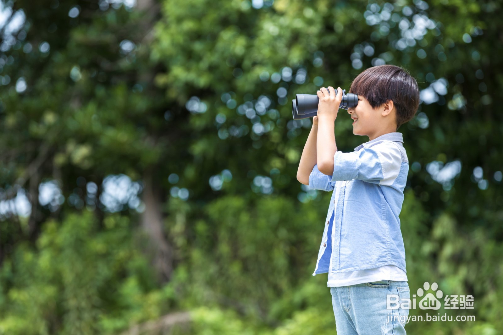 怎样培养孩子的逻辑思维能力？