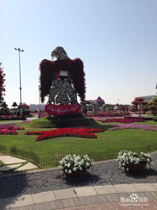 沿途的风景在我的镜头里,更在我心里 迪拜篇