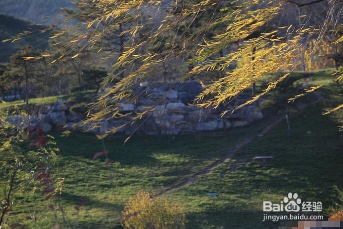 北京北宫国家森林公园旅游攻略