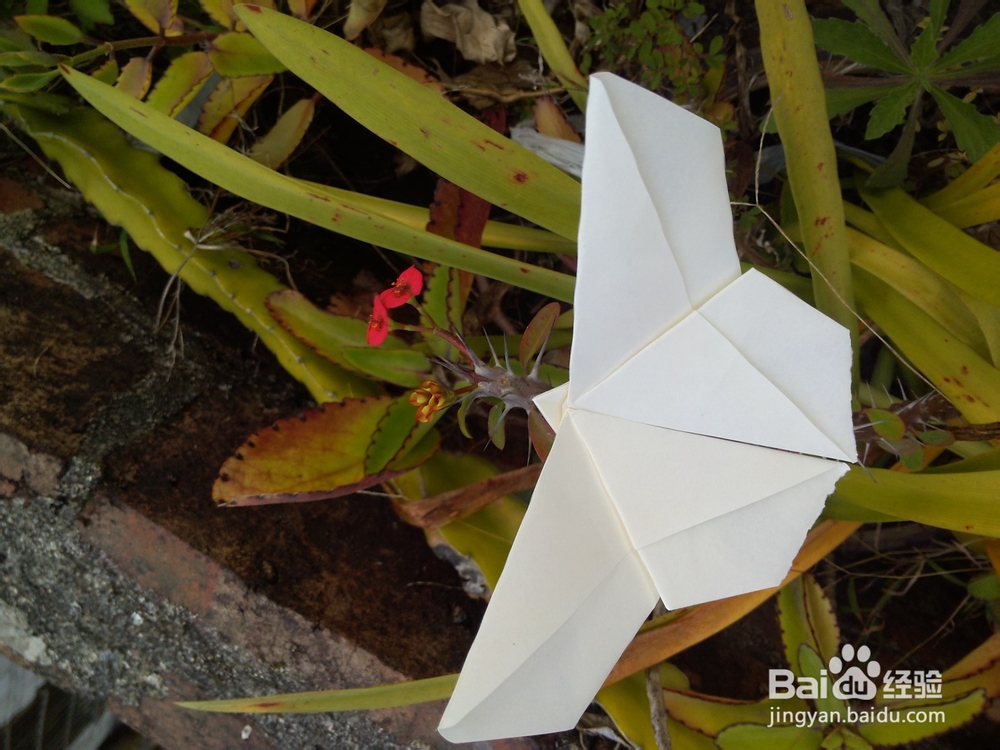 蝴蝶折纸技巧