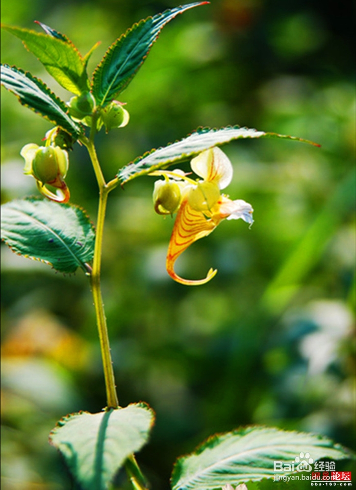 株洲到张家界自助游攻略