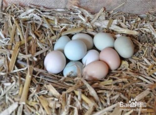 给鸡蛋保鲜有什么小妙招呢?