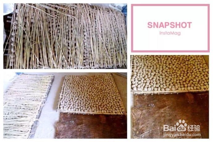 酒饼的制作方法