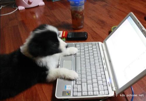 怎样做好论坛推广的六个技巧