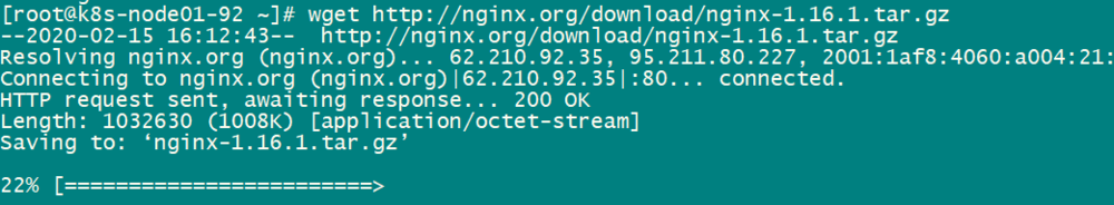 构建nginx docker容器镜像方法