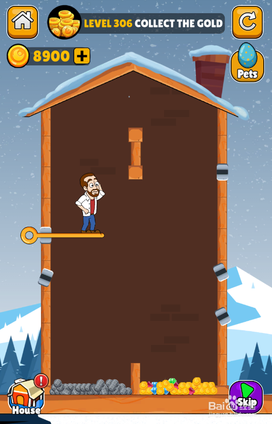 Home Pin的LEVEL 306如何通关?