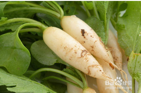 黑木耳不适合和哪些食物一起食用?