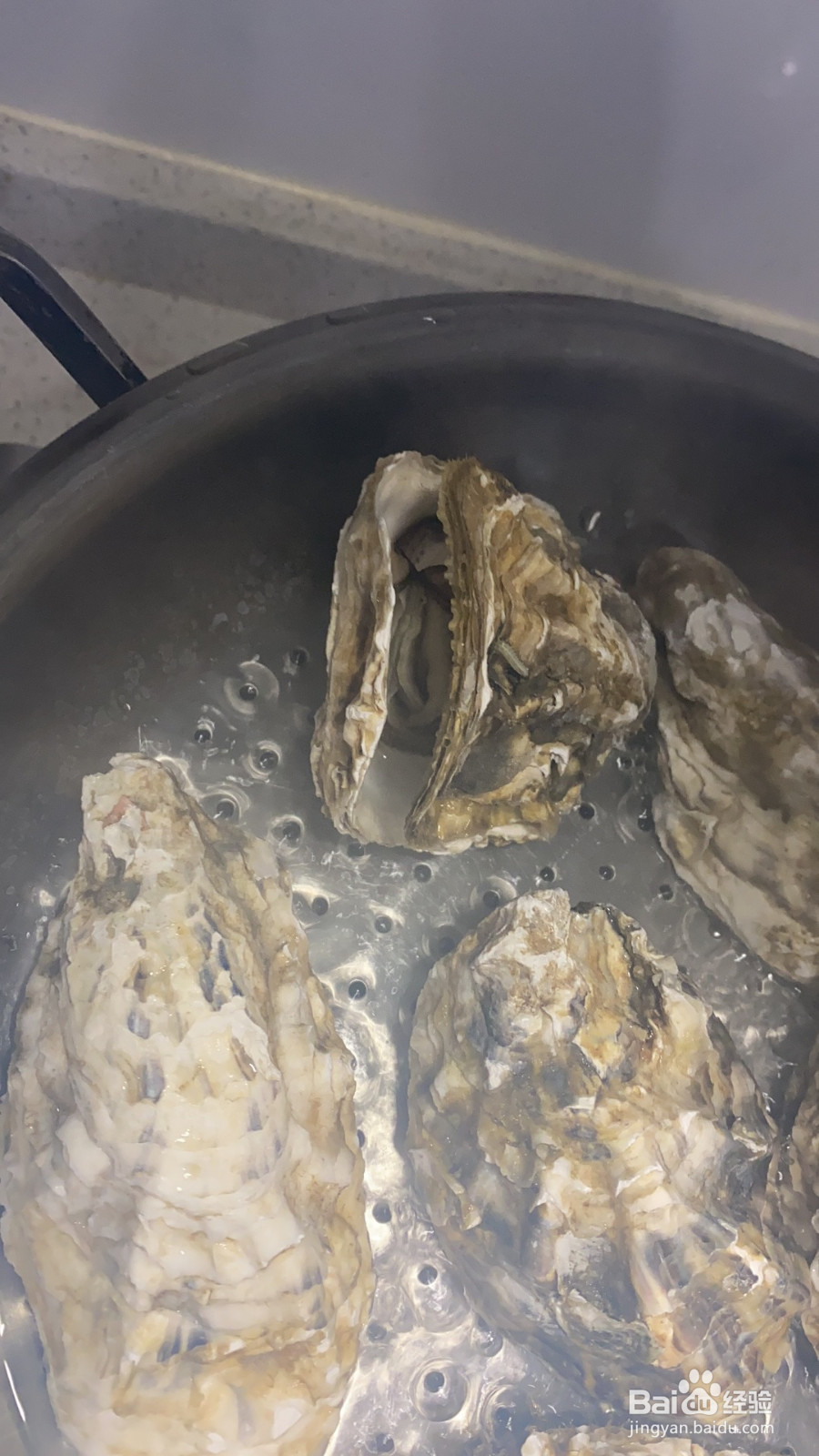 蒜蓉粉丝蒸生蚝的做法