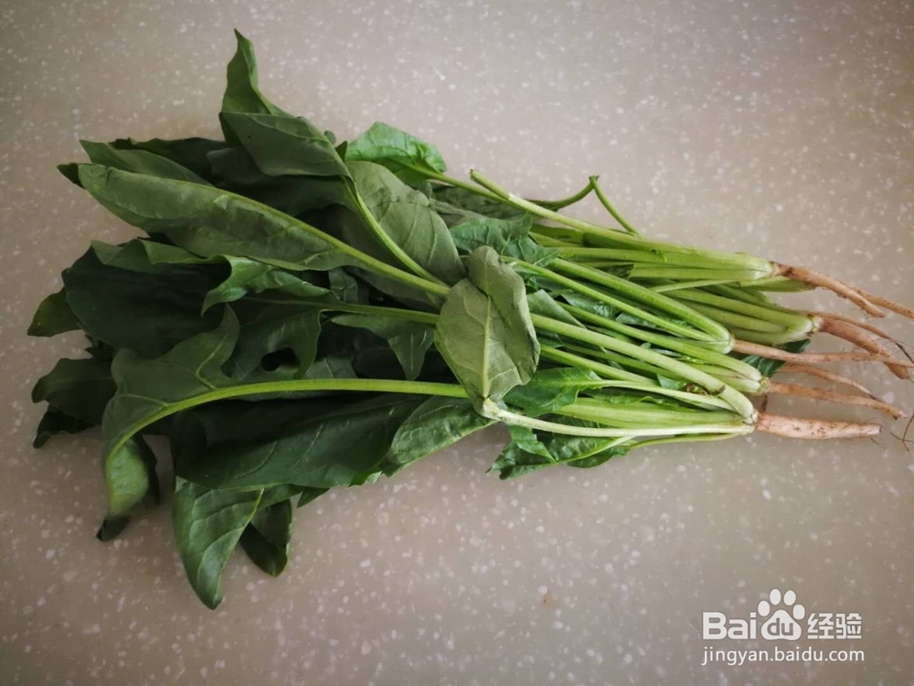 菠菜汁包子的家常做法